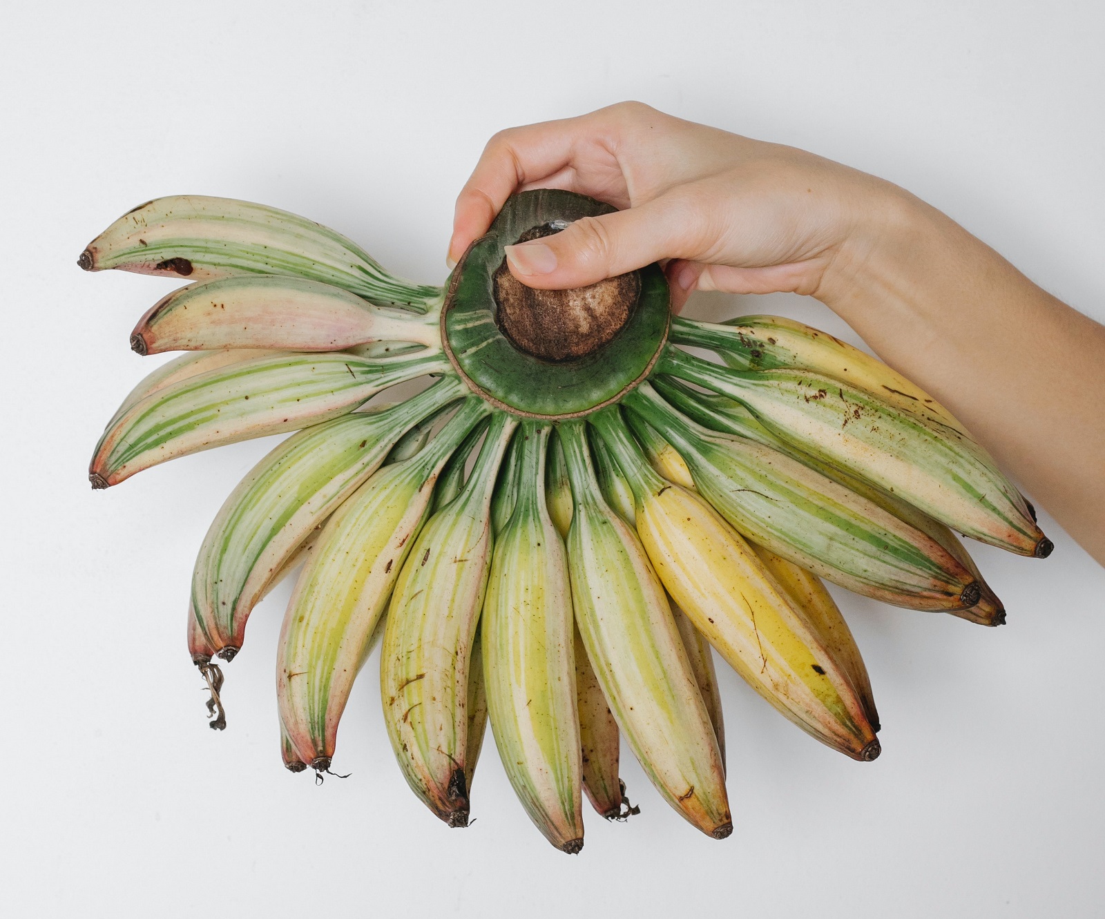 Banan dla urody. Podpowiadamy, jak samemu za pomocą tego owocu stworzyć świetnie działające kosmetyki